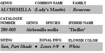 nomenclature.jpg (44861 bytes)