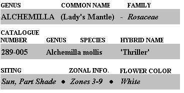 nomenclature.jpg (44861 bytes)